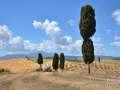 Plener-Pienza-2018